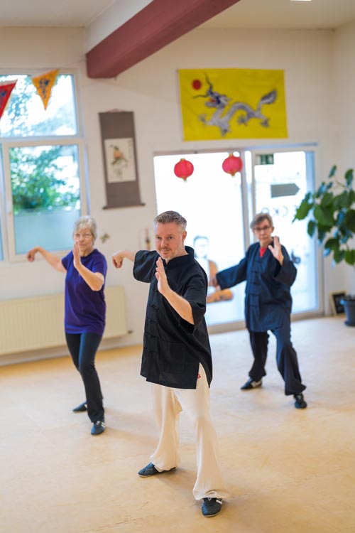 Tai Chi Qigong